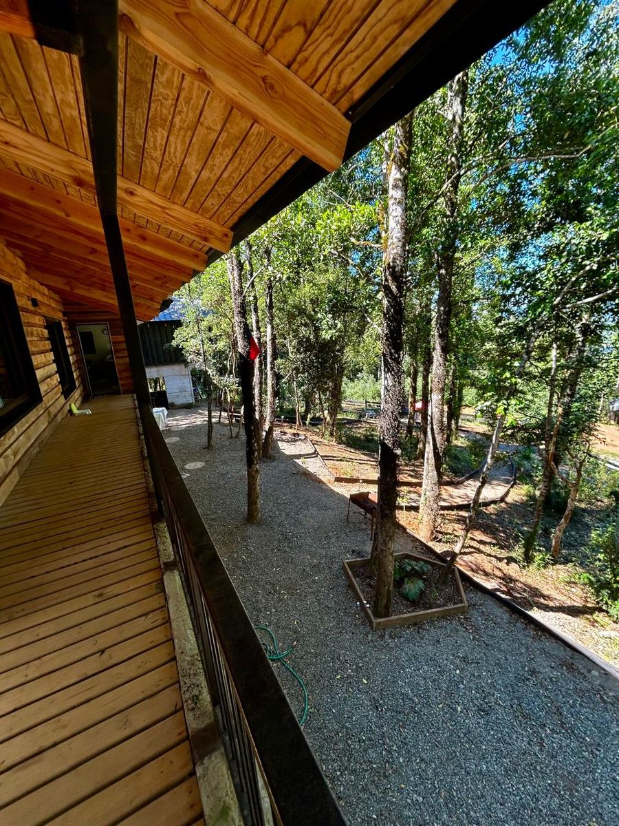 Corredor elevado sobre el bosque nativo