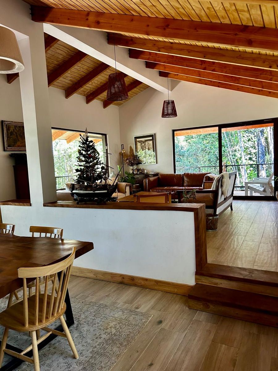Living y comedor con cielo de vigas de madera y ventanales al bosque
