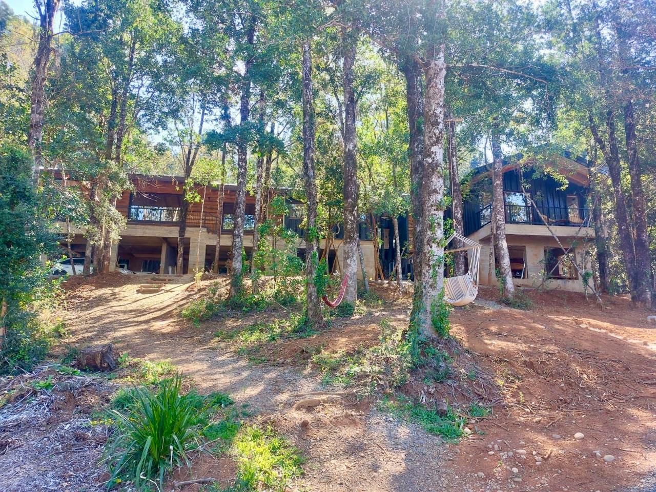 Casa CDB entre los árboles del bosque valdiviano